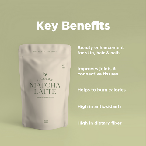 [Jasmine x Bloom] Pouch Set - Any 4 Save 13%